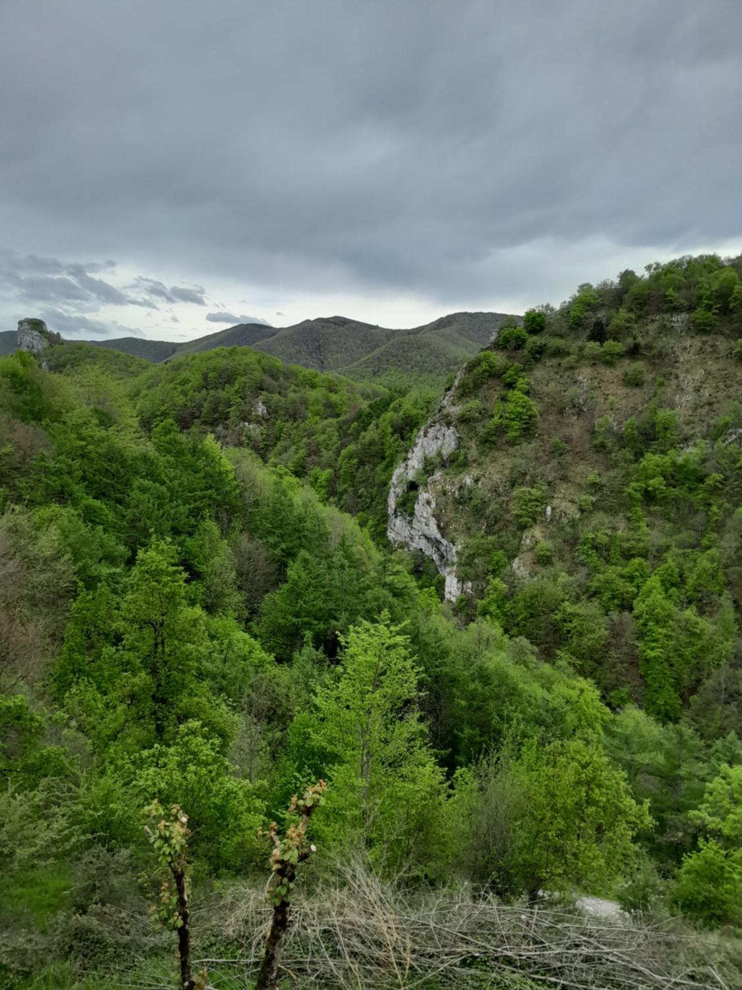 Oñate Casa Rural Aingeru Naturaleza Y Montana מראה חיצוני תמונה